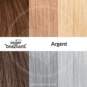 Swatch Argent