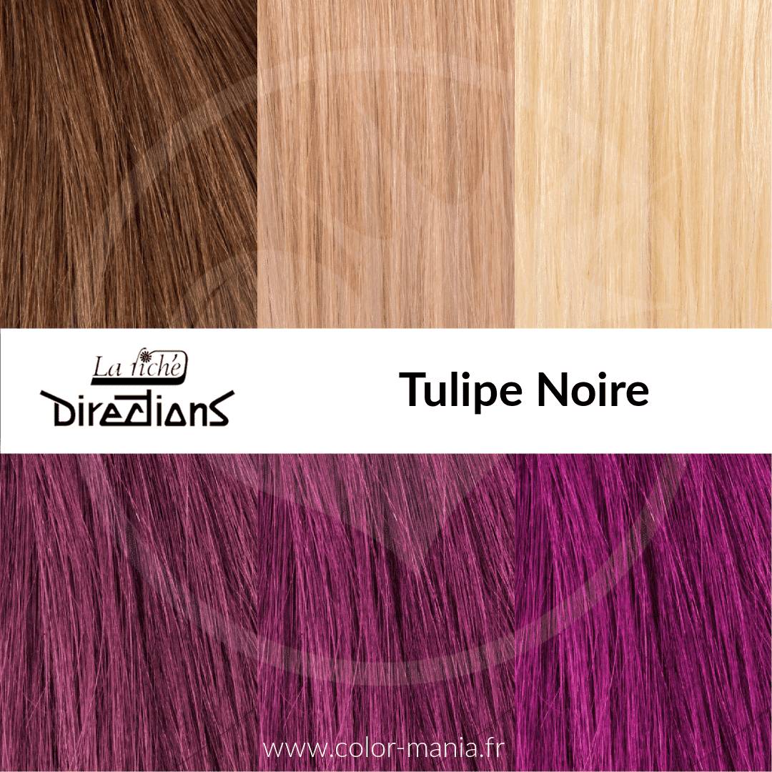 Swatch Tulipe Noire