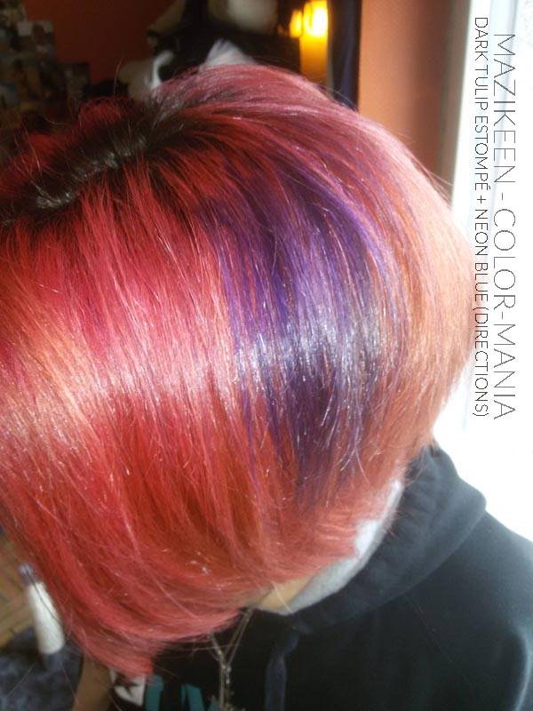 Merci Mazikeen :) Coloration Cheveux Bleu Electrique sur ancienne coloration Tulipe Noire – Directions