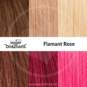 Swatch Flamant Rose
