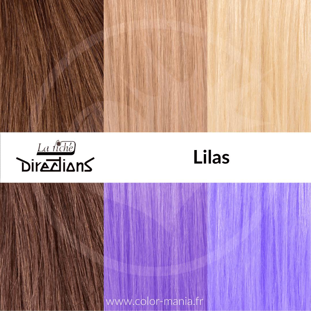 Swatch Lilas