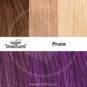 Swatch Prune