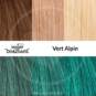 Swatch Vert Alpin