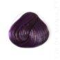 Coloration Cheveux Violet Prune – Directions | Color-Mania