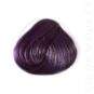 Coloration Cheveux Violet Prune – Directions | Color-Mania