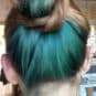 Merci Emma ! Coloration Cheveux Vert Alpin - Directions sur base châtain clair
