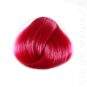 Coloration Cheveux Rose Cerise - Directions | Color-Mania