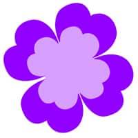 test color mania fleur