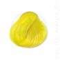 Coloration Cheveux Jaune Jonquille - Directions | Color-Mania