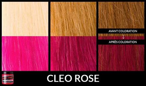 cleo-rose