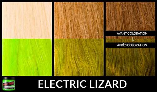electric-lizard