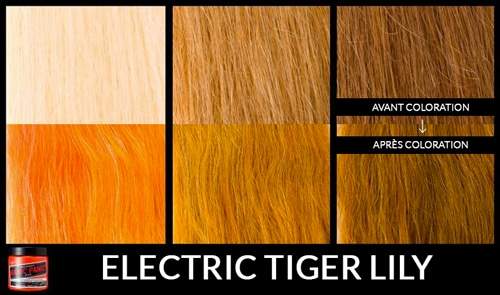 electric-tiger-lily