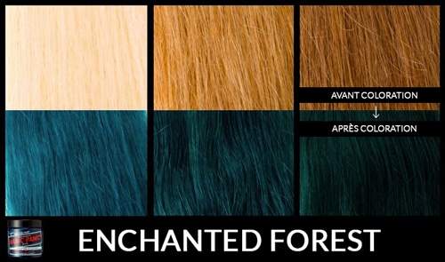 enchanted-forest
