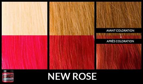 new-rose
