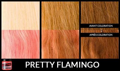 pretty-flamingo