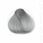 La Coloration Cheveux Gris Sylvia Grey - Herman's Amazing | Color-Mania