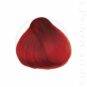 Coloration Cheveux Rouge Fiona Fire - Herman's Amazing | Color-Mania