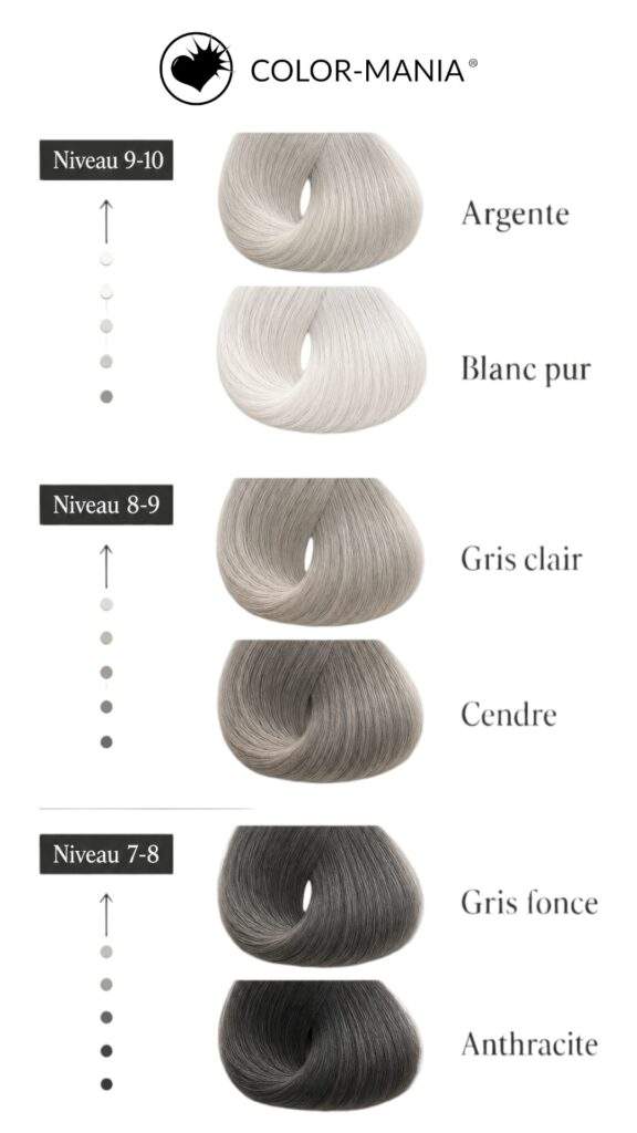 echelle base nuance cheveux gris blancs