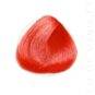 Coloration Cheveux Orange - Urban Crazy | Color-Mania.fr