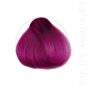 Coloration Cheveux Rose Cynthia Cyclamen - Herman's Amazing | Color-Mania