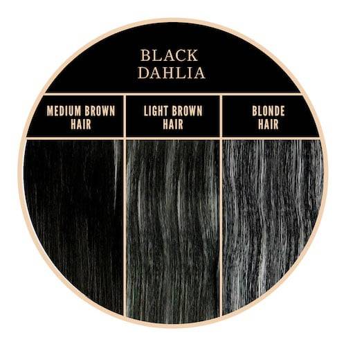 Coloration noire Black Dahlia de Herman's Amazing chez Color-Mania