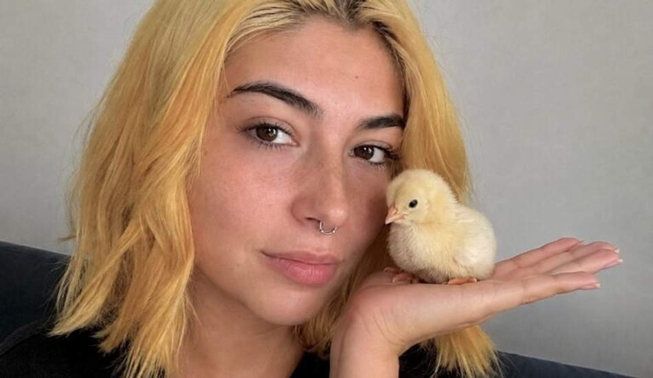 cheveux jaunes apres decoloration que faire