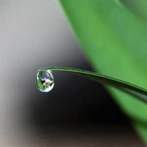 Tension de surface et goutte d'eau | Color-Mania