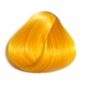 Coloration Cheveux Orange Sunflower - Directions | Color-Mania