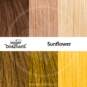 Swatch Sunflower