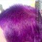Merci Caroline :) Coloration Cheveux Violet Prune Plum Passion - Manic Panic | Color-Mania