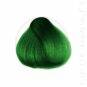 Coloration Cheveux Vert Foncé Maggie - Herman's Amazing | Color-Mania