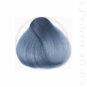Coloration Cheveux Gris Acier Stella Steel - Herman's Amazing | Color-Mania