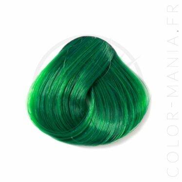 Coloration Cheveux Vert Pomme – Directions | Color-Mania