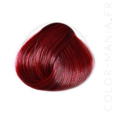 Coloration Cheveux Tulipe Noire - Directions |Color-Mania