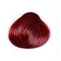 Coloration Cheveux Tulipe Noire - Directions |Color-Mania