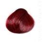 Coloration Cheveux Tulipe Noire - Directions |Color-Mania