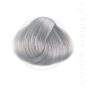 Coloration Cheveux Gris Argent - Directions | Color-Mania
