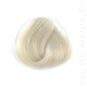 Coloration Cheveux Toner Blanc - Directions | Color-Mania