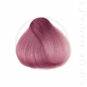 Coloration Cheveux Rose Pastel Polly Pink UV - Herman's Amazing | Color-Mania