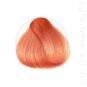 Coloration Cheveux Rose Rosie Gold - Herman's Amazing | Color-Mania