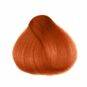 Coloration Cheveux Cuivre Wanda - Herman's Amazing | Color-Mania.fr