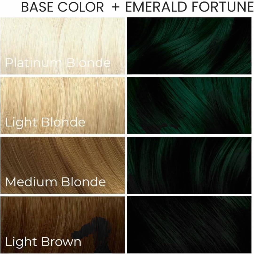 Arctic Fox Emerald Fortune Nuancier