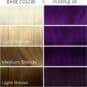 Arctic Fox Purple AF Nuancier