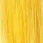 Stargazer coloration semi permanente yellow teinte