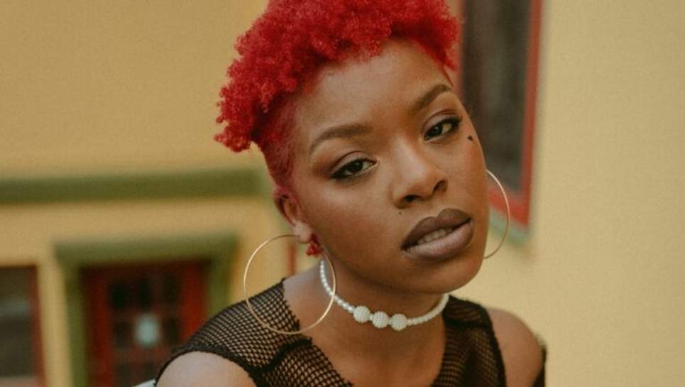 cheveux rouges base foncee sans decoloration
