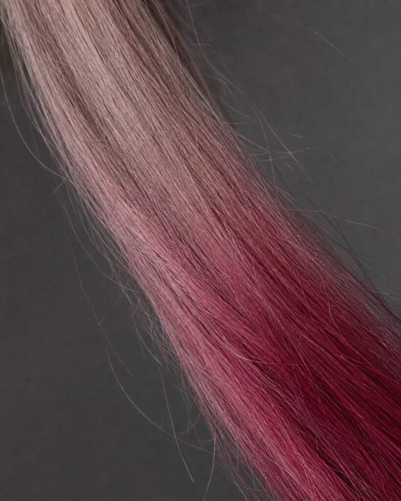 macro degorgement inegal rose
