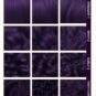 Coloration Cheveux Noir Violet Magic Salem - Lunar Tides - nuancier textures de cheveux | Color-Mania