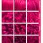 Coloration Cheveux Rose Vif Lychee Pink - Lunar Tides - nuancier textures de cheveux | Color-Mania