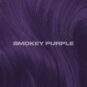 Coloration Cheveux Violet Gris Smokey Purple - Lunar Tides - rendu sur cheveux violet gris | Color-Mania