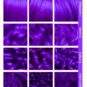 Coloration Cheveux Violet Vif Orchid Purple - Lunar Tides - nuancier textures de cheveux | Color-Mania